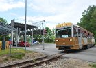 NÖVOG VT8 60  Jahre Diesellok 2095 (16)